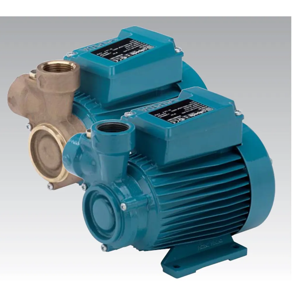 Вихревые насосы (CT, CTM, T, TP) —  CT 61